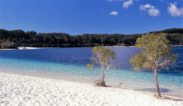 Paradijsje op een eiland