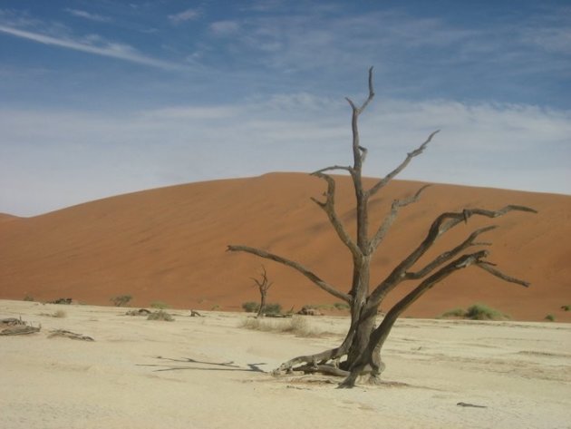 Namibië, Sossusvlei: adembenemend!