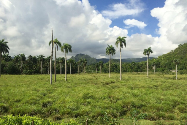 Parque Nacional Alejandro de Humboldt