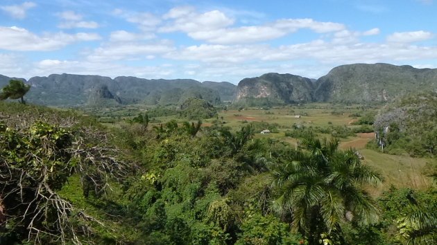 Groene vallei van Viñales