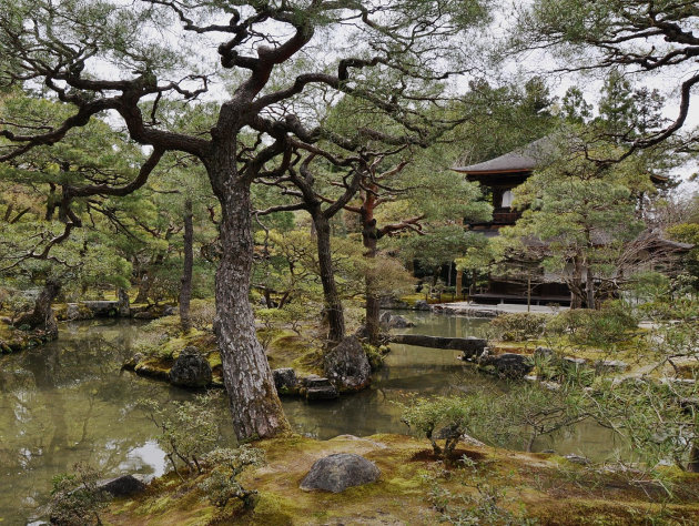 De tuin van Ginkakuji