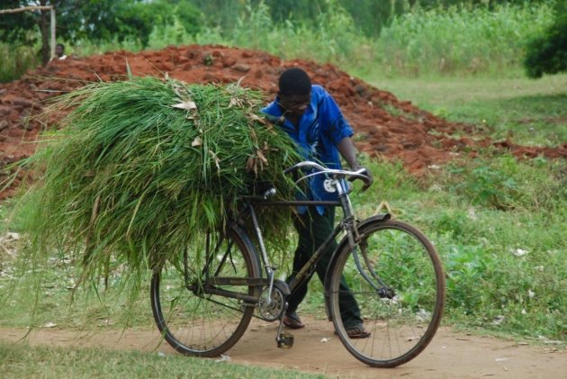 Onderweg in Malawi