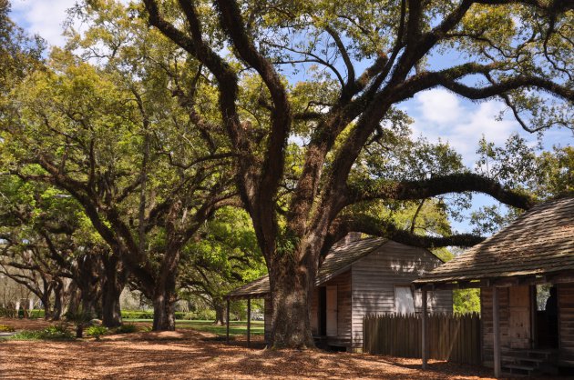 Oak Alley Plantation Slavenhuisjes