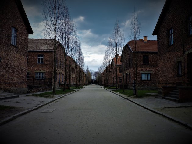 Impressive Auschwitz