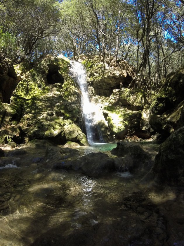 Mallorca's verborgen waterval: Es Salt Des Freu