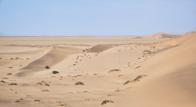 Zand - struikjes en duinen 