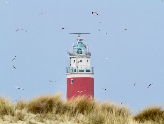 Vuurtoren bij De Cocksdorp op Texel