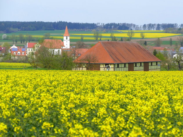 wandeling over het Hesselberg pad