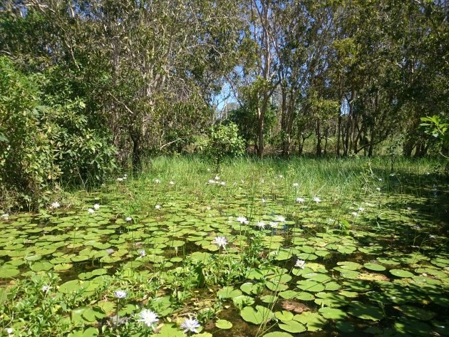 Kakadu National Park 