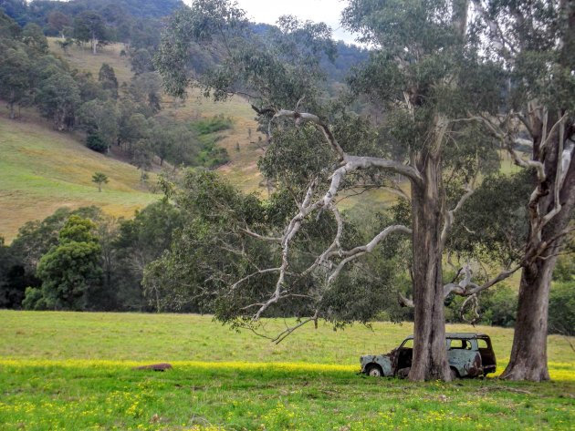 Barrington Tops