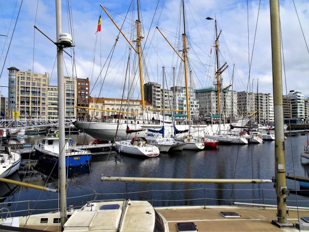 Mercator schittert terug in Oostende