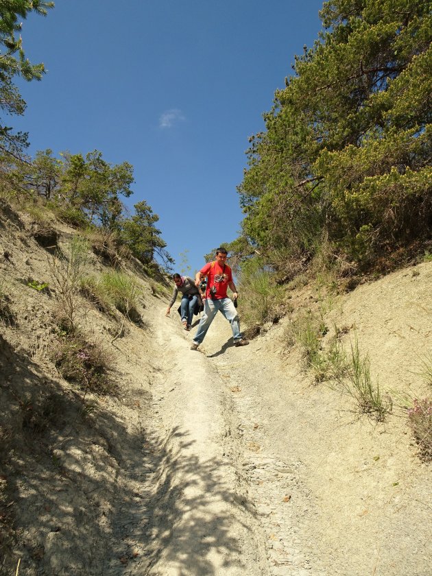 Spannend, zo'n oerduinenwandeling