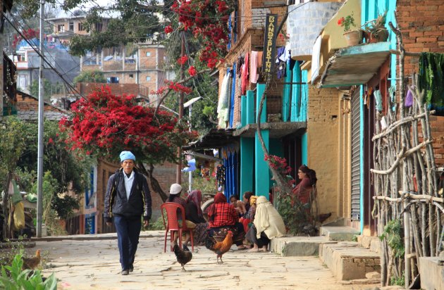 Straatbeeld Bandipur