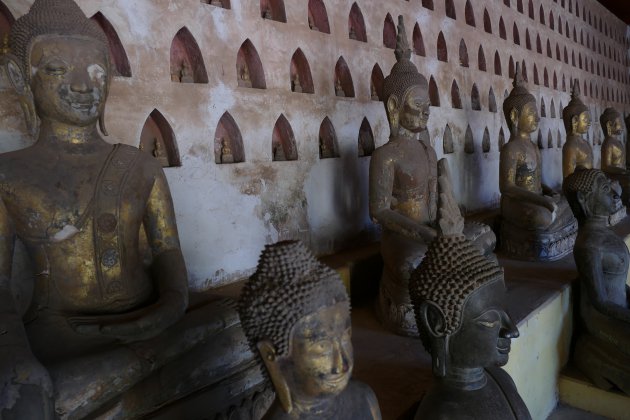 Heel veel buddha's