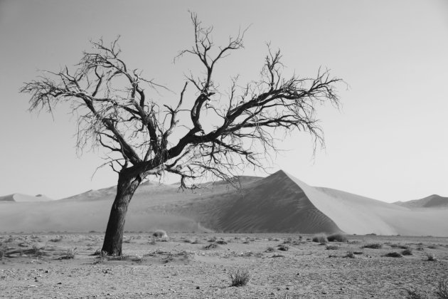 Namib woestijn in zwart-wit