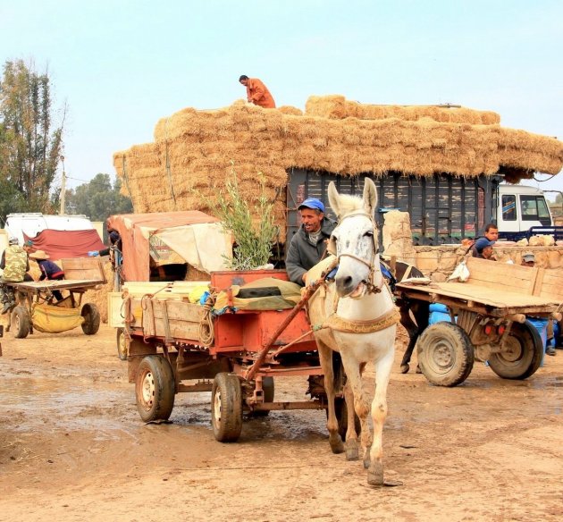 Met de ezel naar de markt