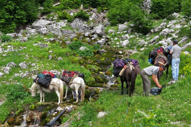 met de paarden van Valbona naar Teth