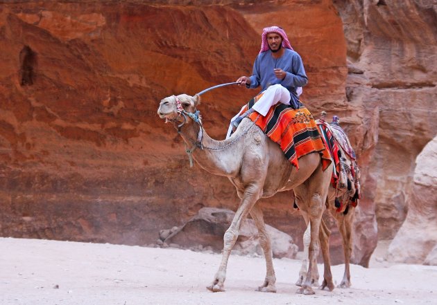 Another hot day in Petra