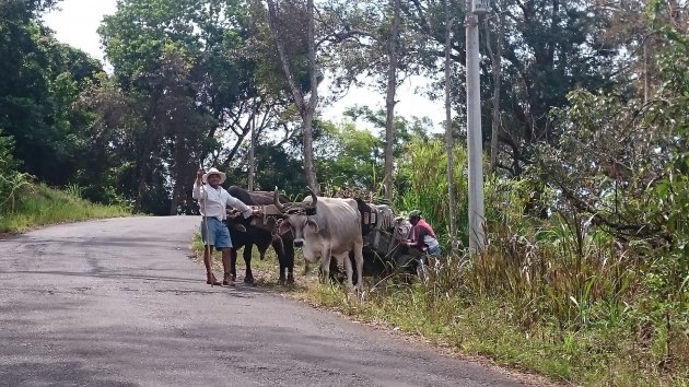 Authentiek vervoer in Costa Rica