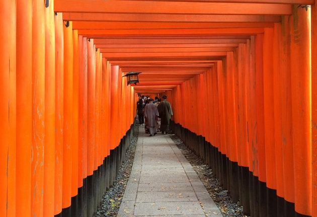 Duizende rode Torii