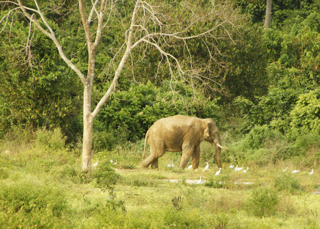 Kui Buri National Park