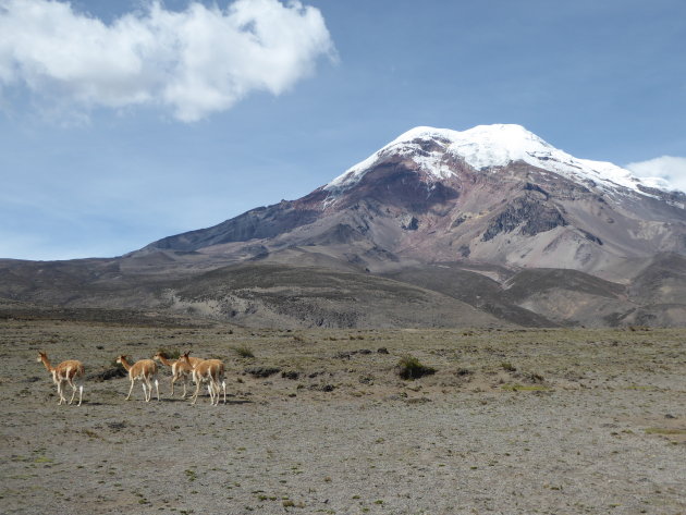 El Chimborazo - de hoogste berg van Ecuador, 2 m hoger dan Everest