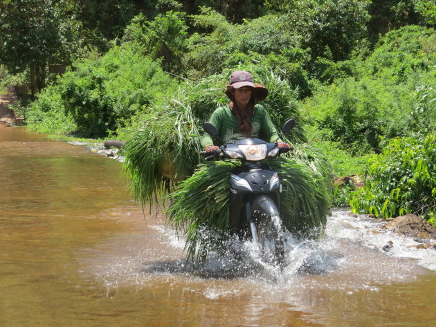 platteland Cambodja 