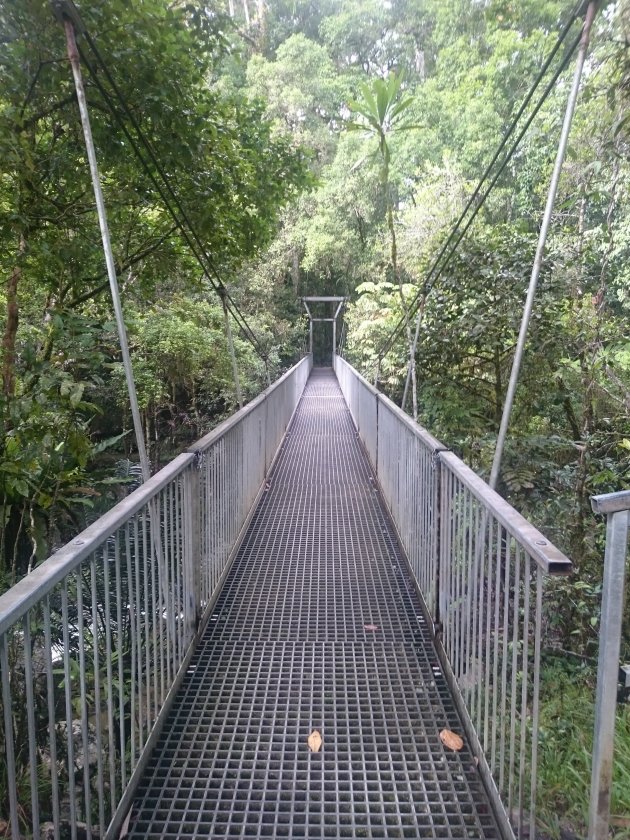 Mossman Gorge 