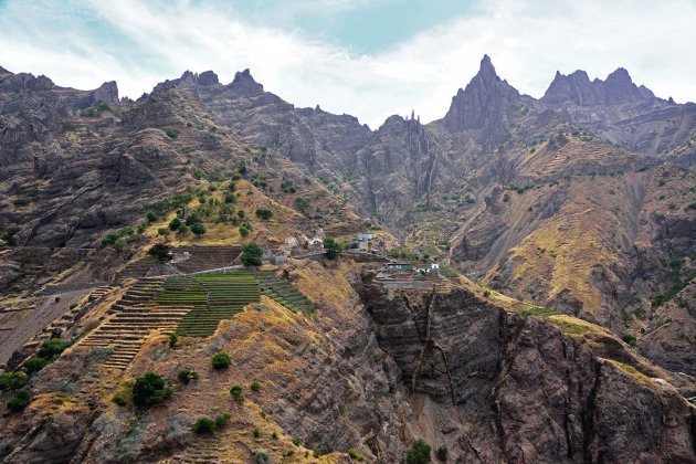 Groenten verbouwen op Santo Antao