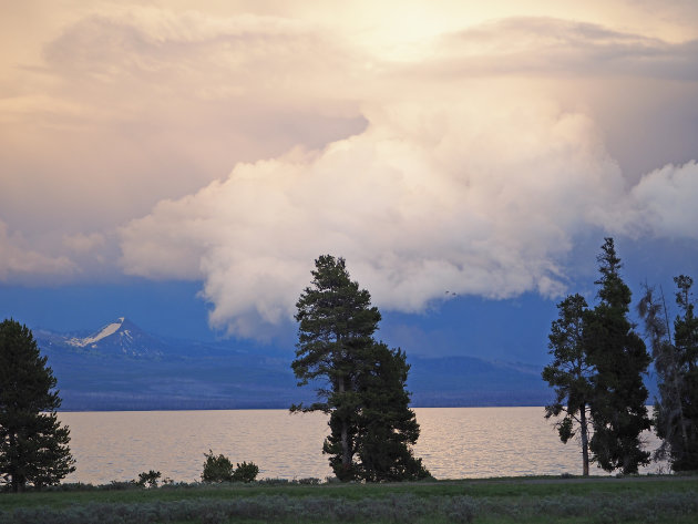 Yellowstone