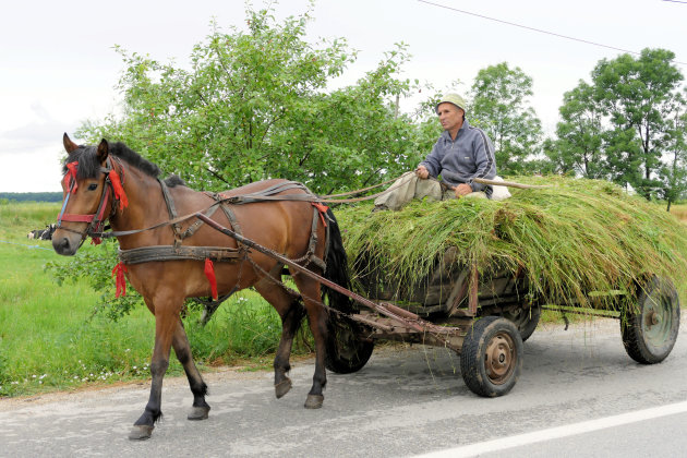 Paard-en-wagen