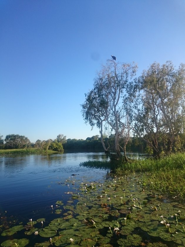 Yellow Waters - Kakadu NP