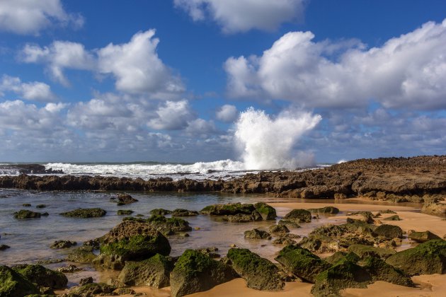 Een onontdekt strand, met lagune en oesterkwekerij