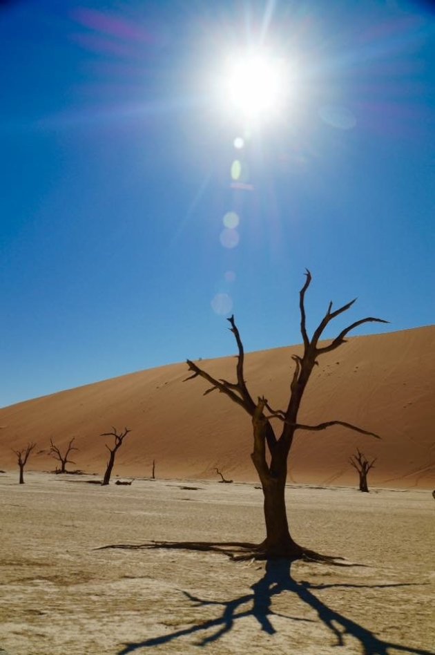 Namib Desert - Death Vlei