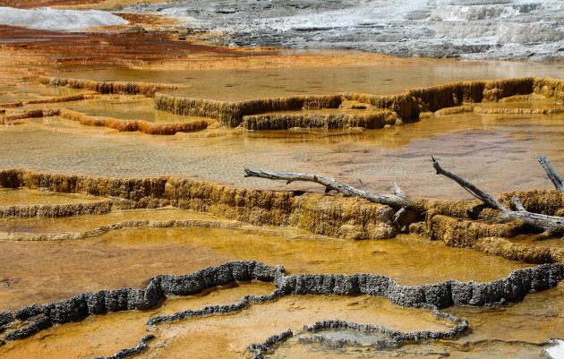 Mammoth Hot Springs