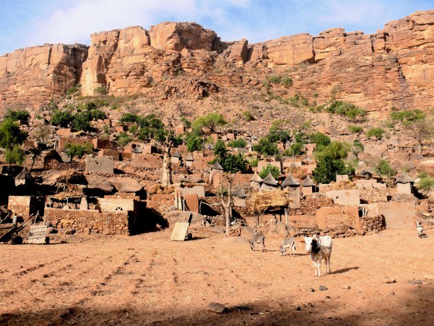 Dogon vallei