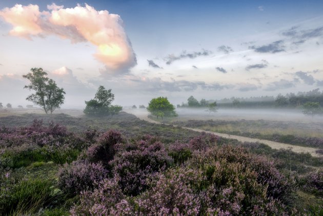 Loonse en Drunense duinen