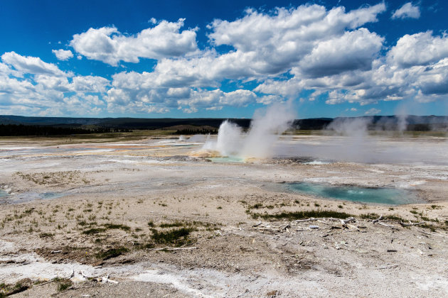 Lower geysir basin Yellowstone NP