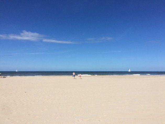 Hoogseizoen op de Wadden