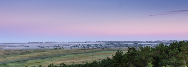 Ochtend dauw Terschelling