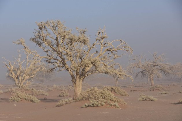 Storm in de Sossusvlei