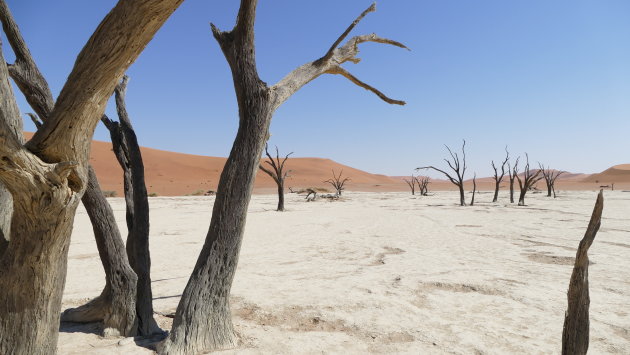 Deadvlei