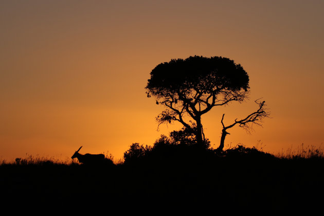 African sunset