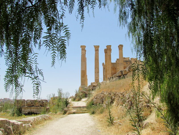 tempel van Zeus omlijst door peper