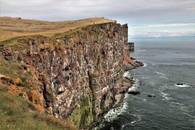 Wandelen bij Latrabjarg