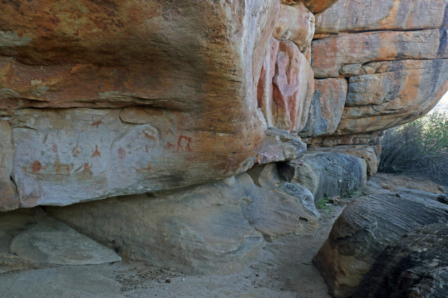 Bushman Rockart