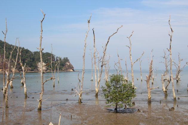 Bako National Park