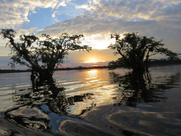 Zwemmen in de Cuyabeno Laguna Grande 