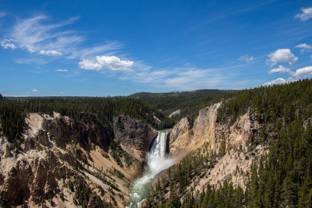 Lower falls Yellowstone