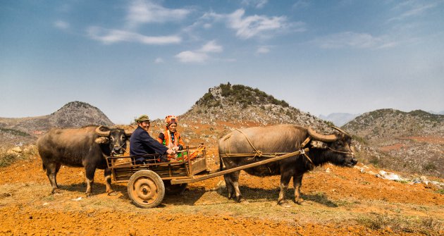 Pula Yi in een gekleurd landschap